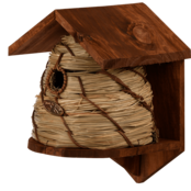 Nestkast Bijenkorf Nestkast Bijenkorf