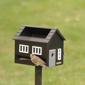 Vogelvoederhuisje met bad zwart Vogelvoederhuisje met bad zwart