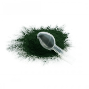 Avian Spirulina
