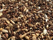 Slaats Goudvinkenvoer