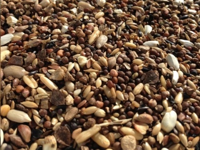 Slaats Goudvinkenvoer