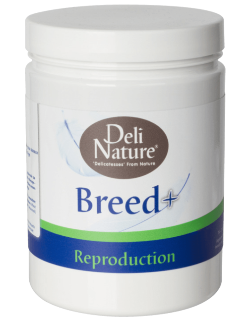 Deli Nature Breed +