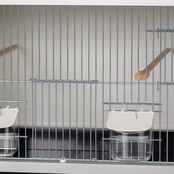 Aluminium broedkooi 60/40/40 cm