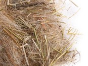 Nestmateriaal parkieten Nestmateriaal parkieten