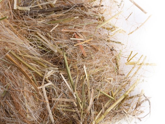 Nestmateriaal parkieten Nestmateriaal parkieten