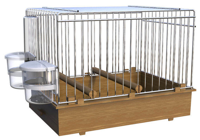 Zangkooi voor vogels – Train en verbeter de zang van jouw vogel Zangkooi voor vogels – Train en verbeter de zang van jouw vogel