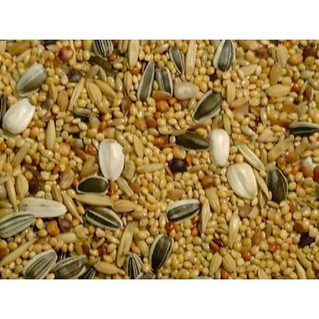 Valkparkietenzaad Slaats