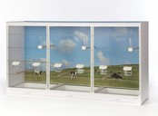 Kamervoliere / vluchtkooi met fotoprint Kamervoliere / vluchtkooi met fotoprint