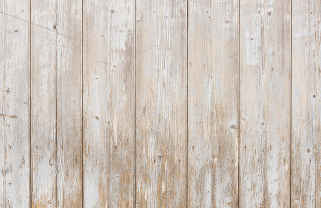 Kamervoliere / vluchtkooi met fotoprint Kamervoliere / vluchtkooi met fotoprint