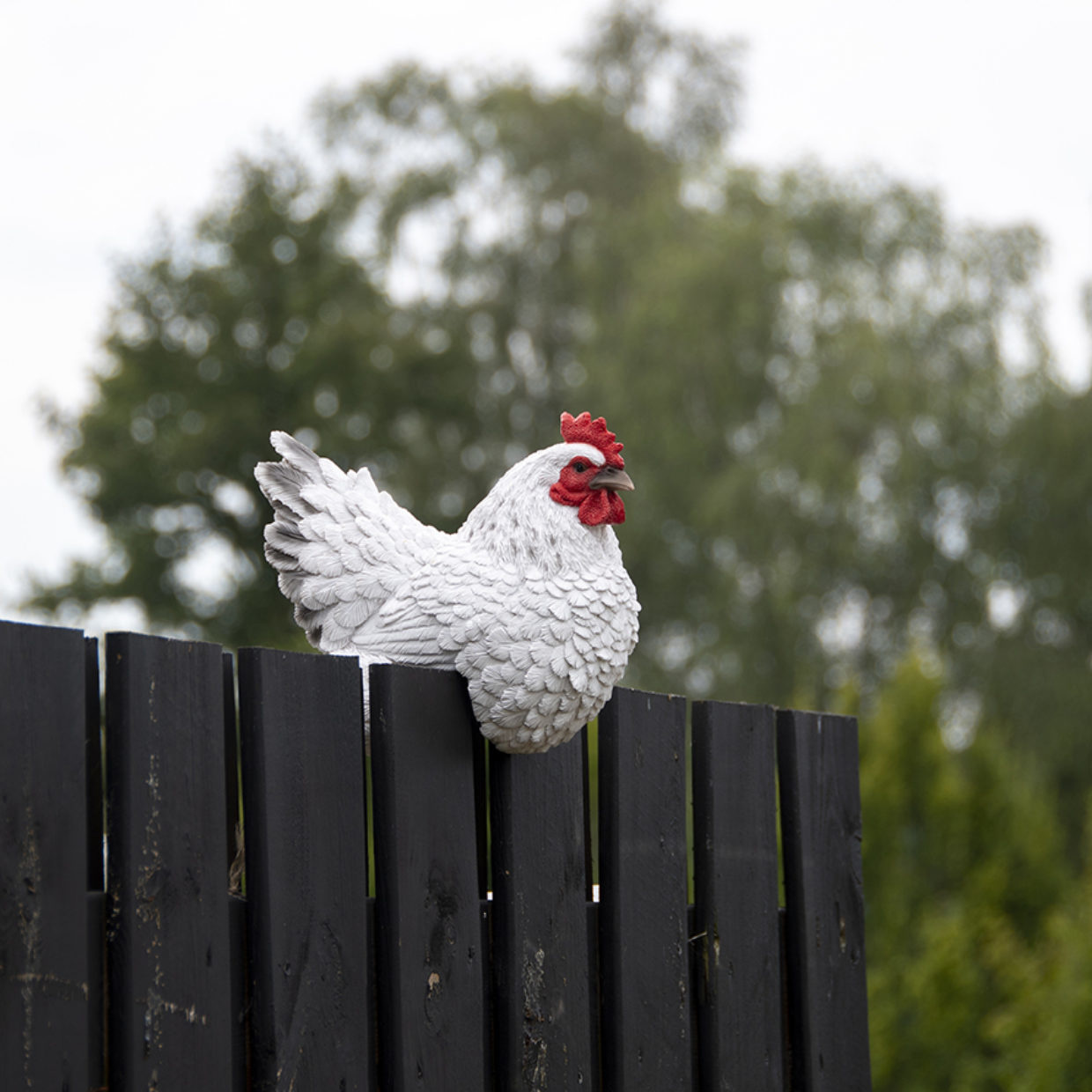 Schutting kippen - Birdsupply.nl de webshop voor de