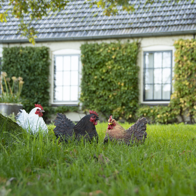 Kip liggend Kip liggend