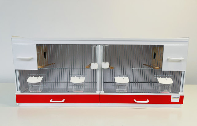 Kunststof broedkooien vinken 2 delig met accentkleur