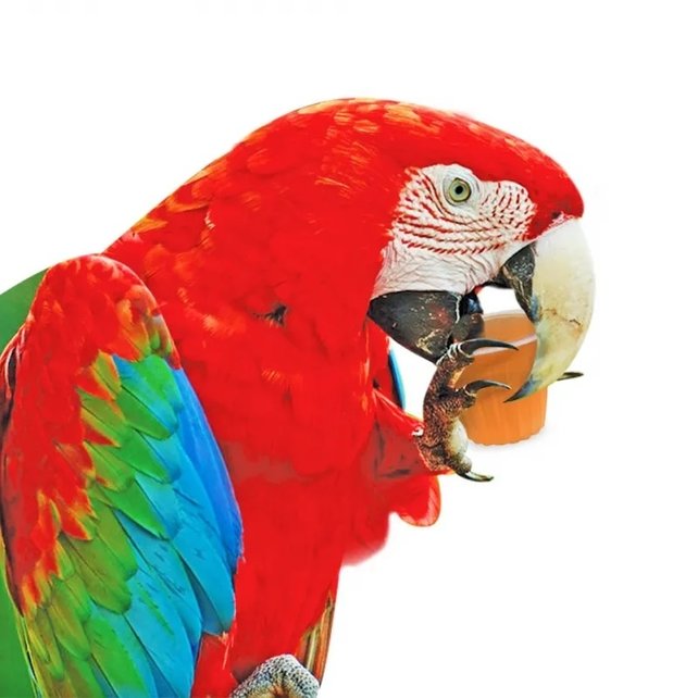 Fruitkuipjes mix 24 stuks in pot