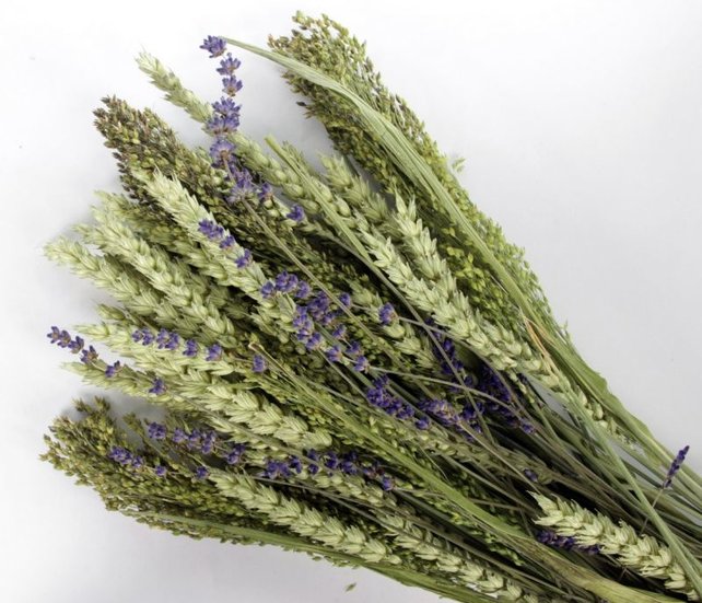 Pet Bouquet koker Aves minor