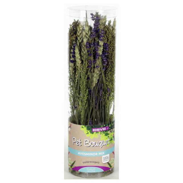 Pet Bouquet koker Aves minor