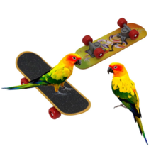 Mini skateboard voor vogels
