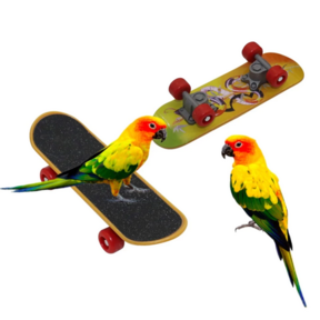 Mini skateboard voor vogels