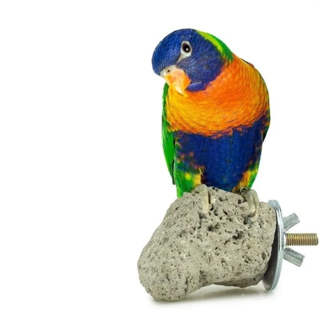 Nature Java Lava Stone