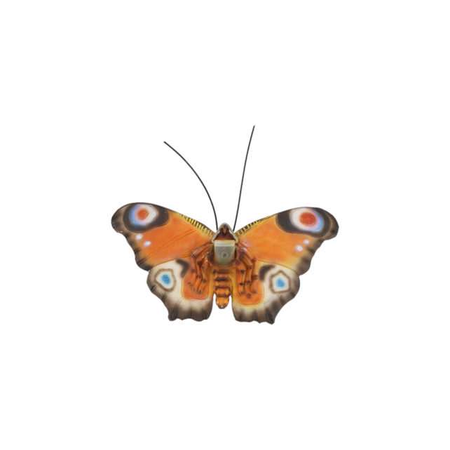 Muurdecoratie vlinders