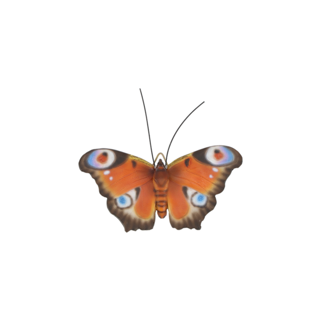 Muurdecoratie vlinders