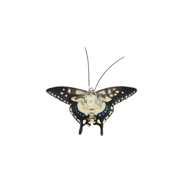 Muurdecoratie vlinders