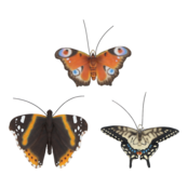 Muurdecoratie vlinders