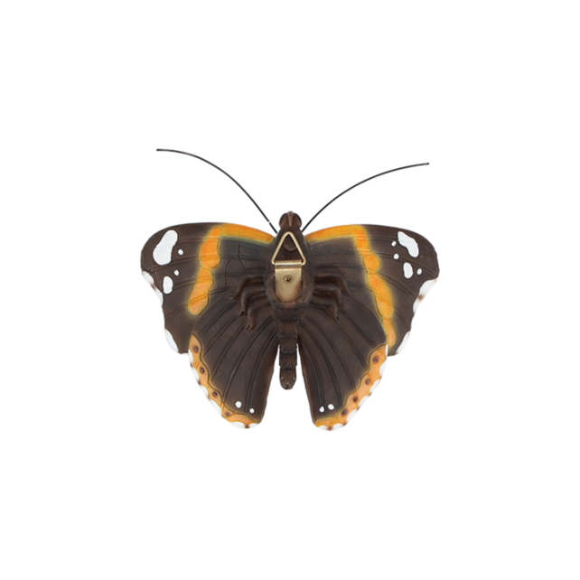 Muurdecoratie vlinders