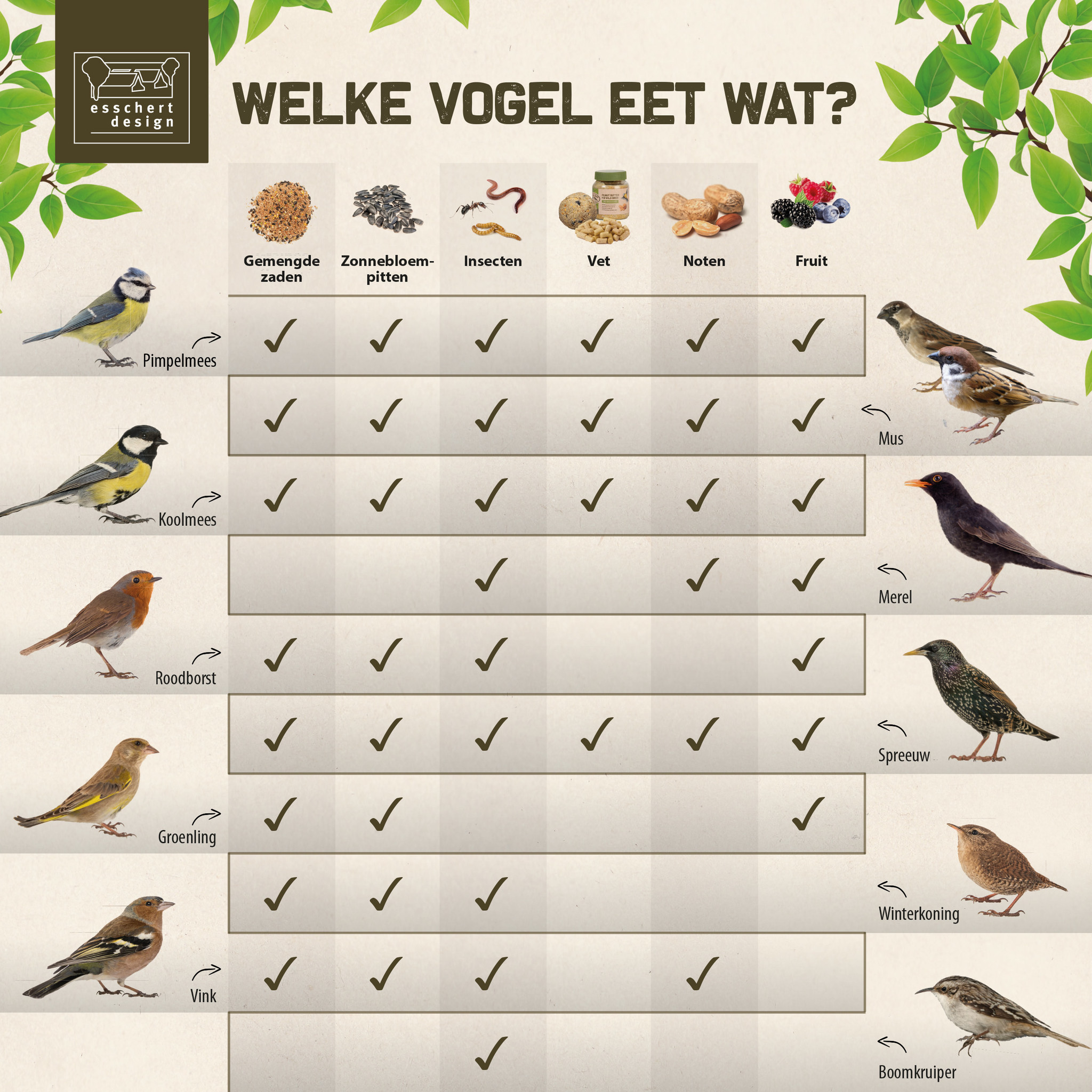 Welke vogel eet wat