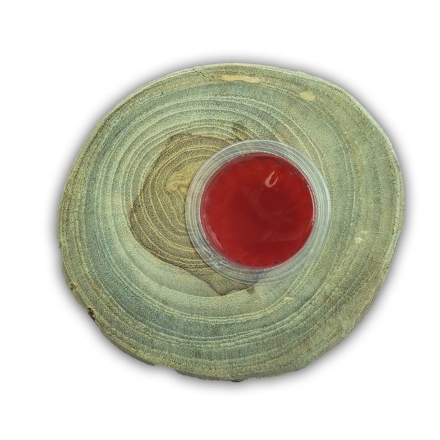 Fruitkuipjeshouder Teak Fruitkuipjeshouder Teak