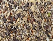 Jan Koenings Kardinalen zaadmengeling Jan Koenings Kardinalen zaadmengeling