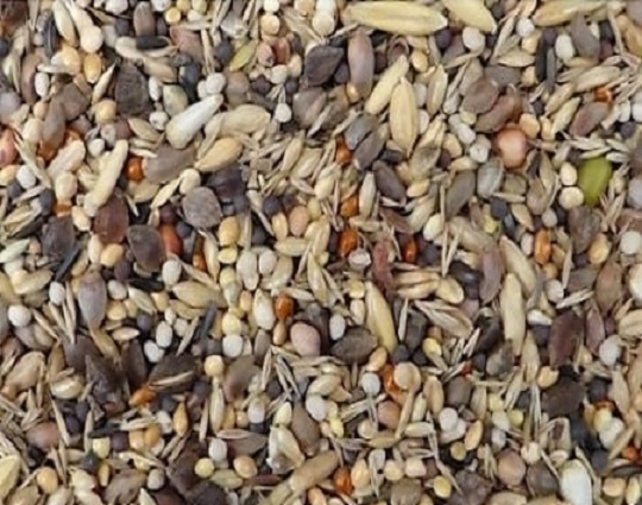 Jan Koenings Kardinalen zaadmengeling Jan Koenings Kardinalen zaadmengeling