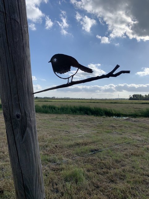 Vogelsilhouet roodborst Vogelsilhouet roodborst