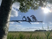 Vogelsilhouet mussen