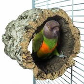 Schuilhut medium Schuilhut medium