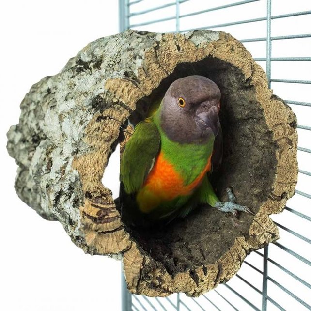 Schuilhut medium Schuilhut medium