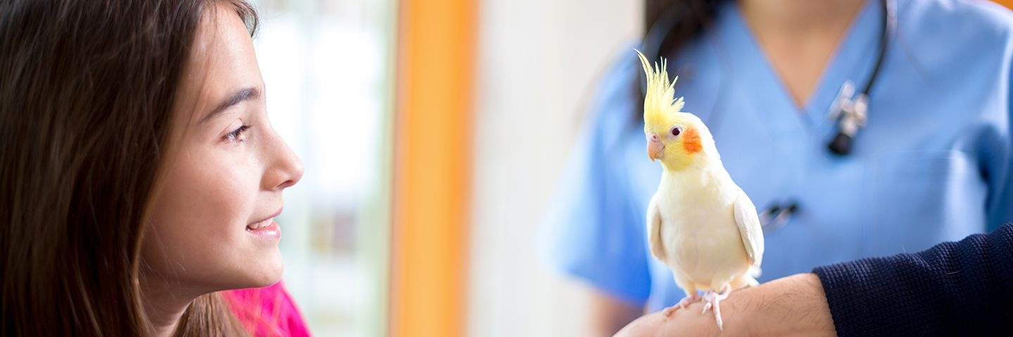 Is het nodig om mijn vogel te ontwormen?