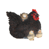 Liggende kip met kuikens