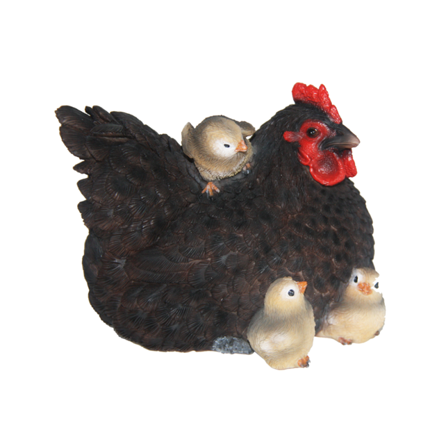 Liggende kip met kuikens