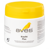 Aves Kracht