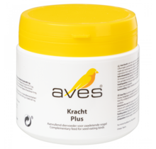 Aves Kracht