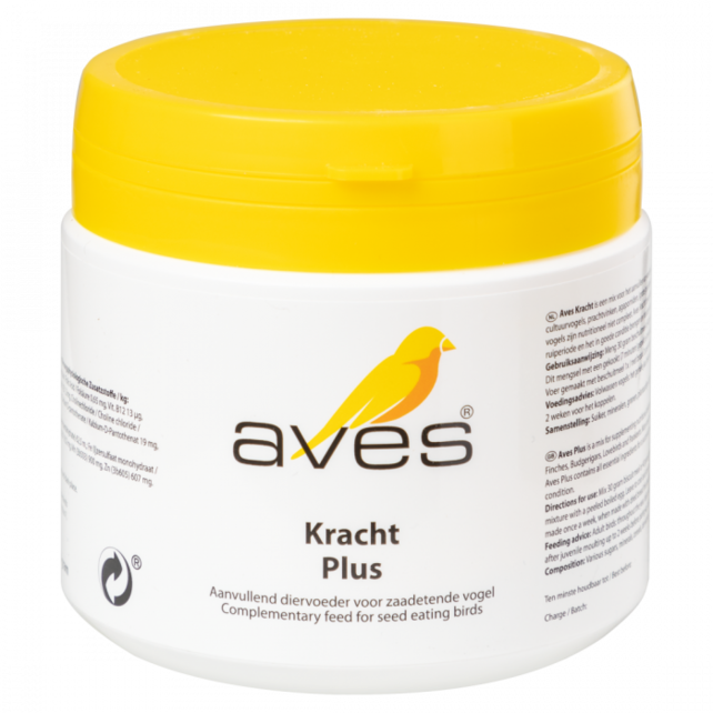 Aves Kracht