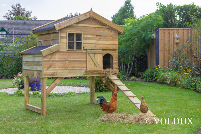 Kippenhok Jasper Kippenhok Jasper