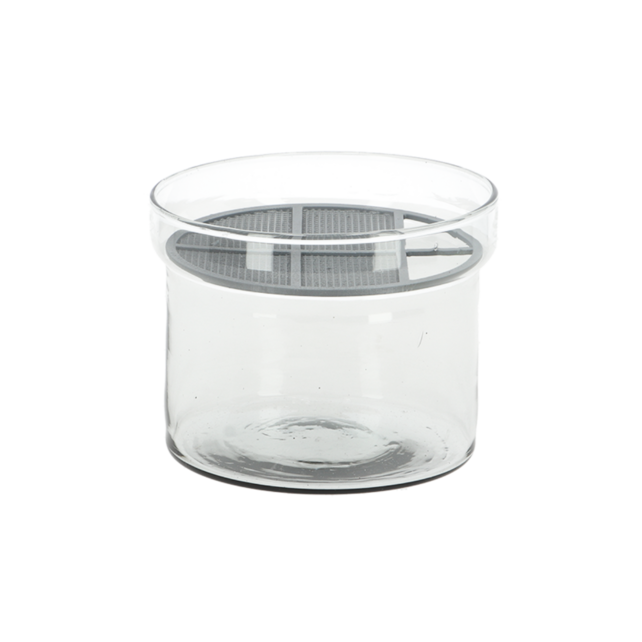 Kiemgroente kweekset