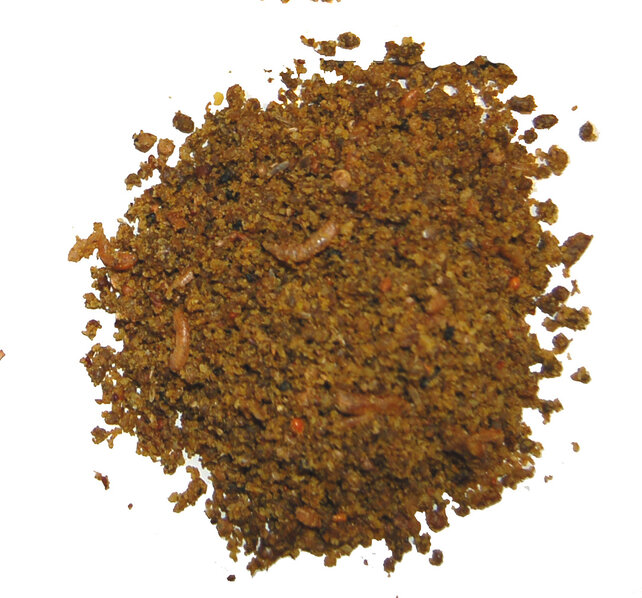 Universeelvoer met insecten