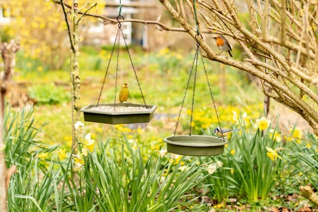 Set hangende voer- en waterbak