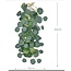 Eucalyptus kunstplant voor vogelkooien | Natuurlijke & veilige decoratie