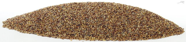 Klaver / weegbreezaad