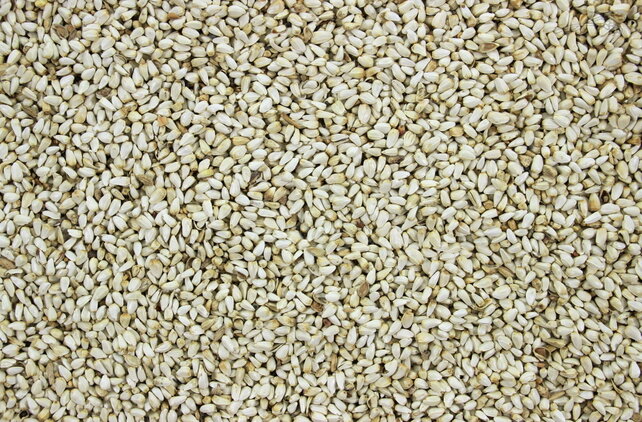 Saffloorpitten / kardizaad Saffloorpitten / kardizaad