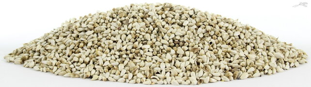 Saffloorpitten / kardizaad Saffloorpitten / kardizaad