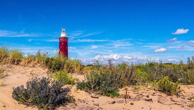 Kamervoliere / vluchtkooi met fotoprint Kamervoliere / vluchtkooi met fotoprint
